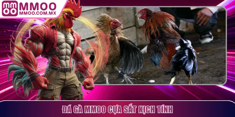 Đá gà MMOO cựa sắt kịch tính