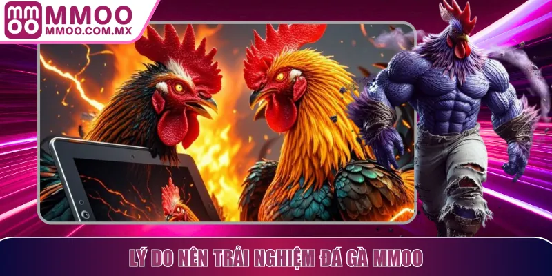 Lý do nên trải nghiệm đá gà MMOO